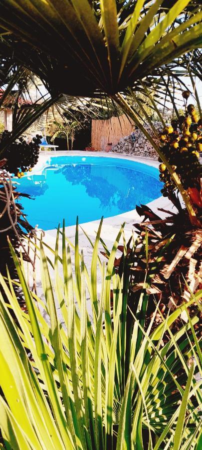 B&B Stars And Stripes Monopoli Exterior foto
